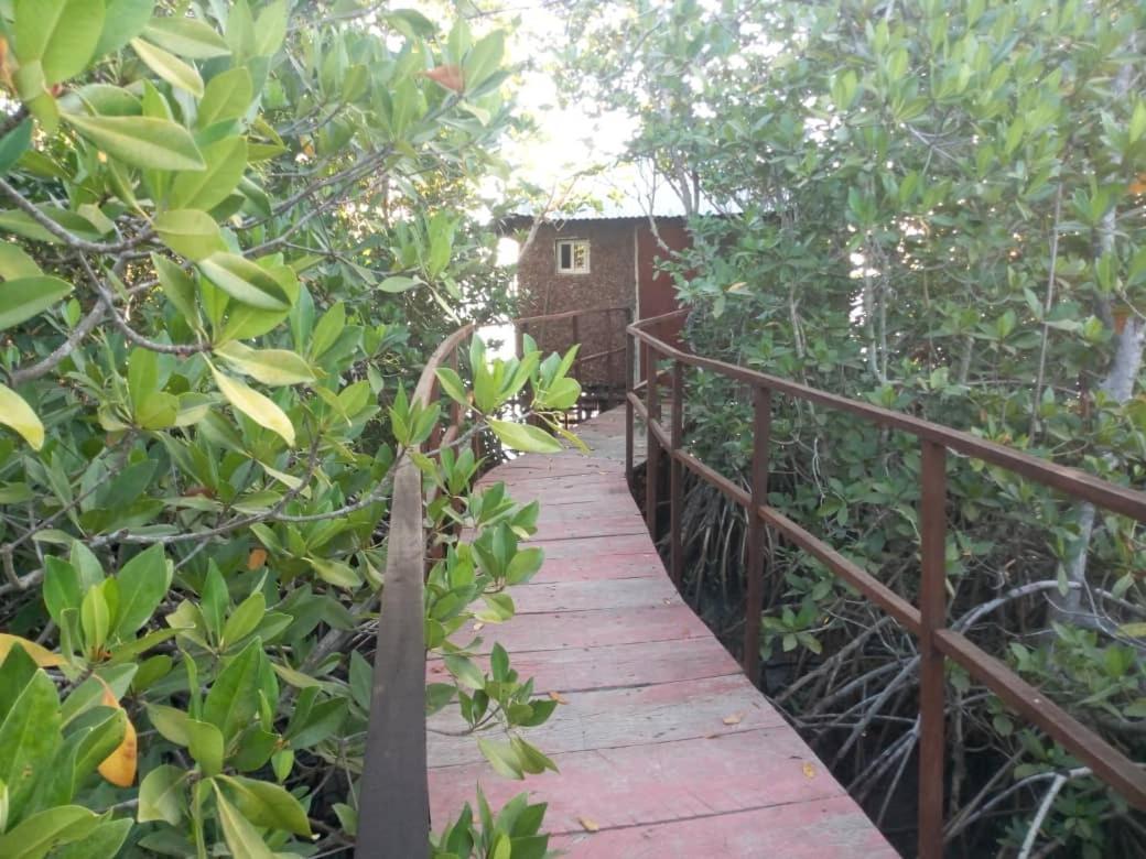 Bintang Bolong Lodge エクステリア 写真